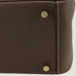 10001封面琳蒂大象灰