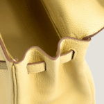 10001封面小鸡黄凯莉