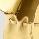 10001封面小鸡黄凯莉