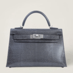 10001封面二代蜥蜴皮