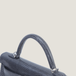 10001封面二代蜥蜴皮