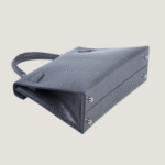 10001封面二代蜥蜴皮