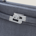 10001封面二代蜥蜴皮