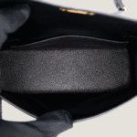 10001封面2代黑蜥蜴