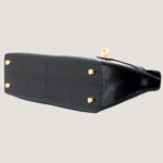 10001封面2代黑蜥蜴