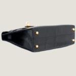 10001封面2代黑蜥蜴