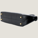 10001封面2代黑蜥蜴