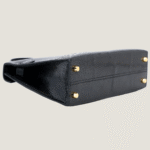 10001封面2代黑蜥蜴