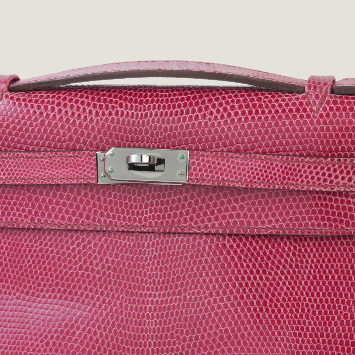 凯莉一代蜥蜴皮 (11)