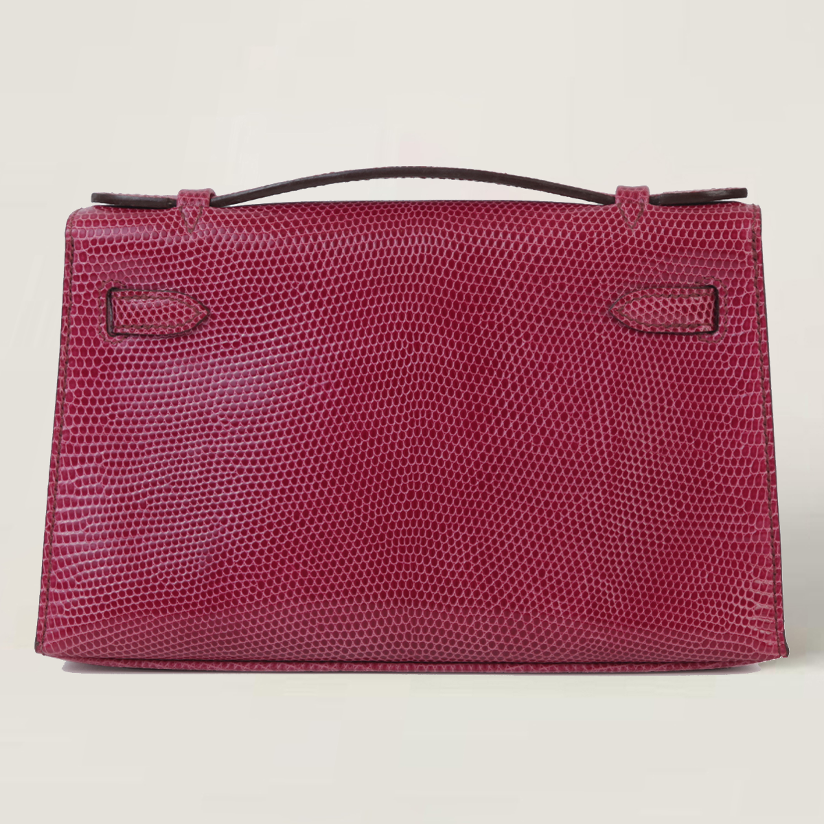 凯莉一代蜥蜴皮 (2)