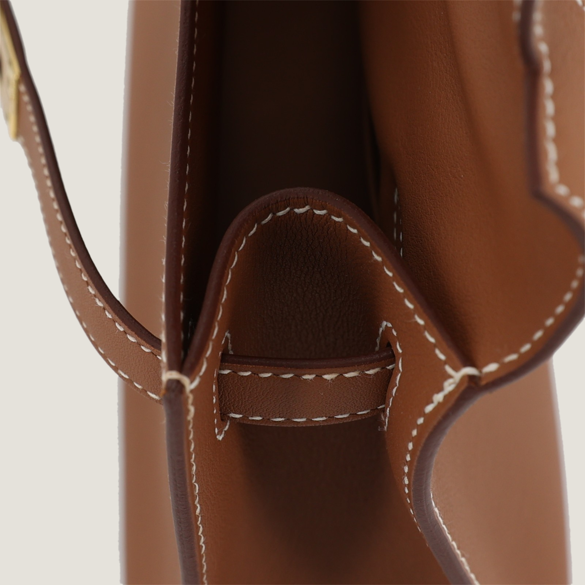 凯莉一代金棕色 (11)