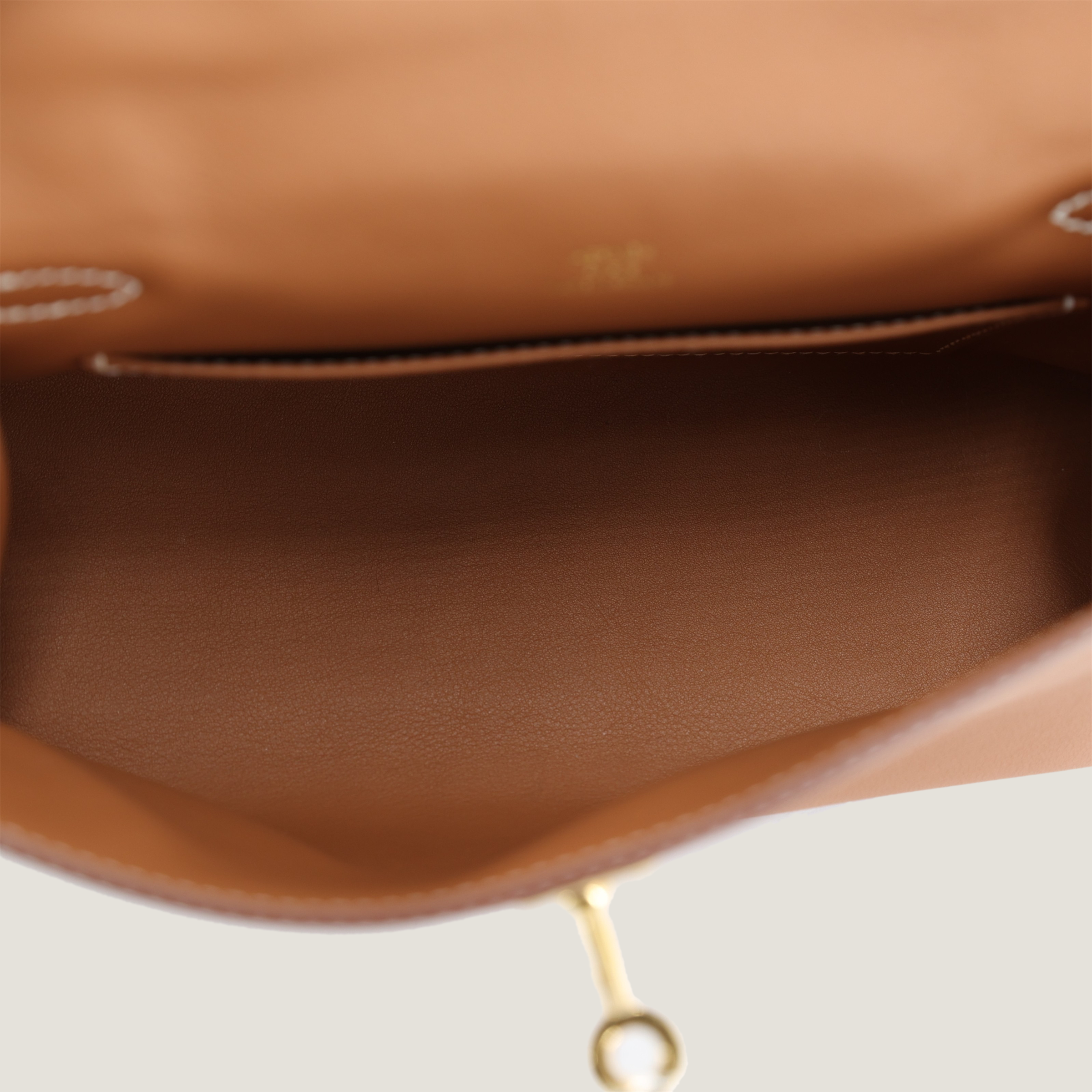 凯莉一代金棕色 (9)