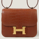 10001封面康康鳄鱼皮金棕