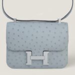 10001封面康康鸵鸟皮冰川蓝