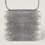 10001封面康康原色蜥蜴皮