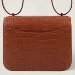 10001封面康康鳄鱼皮金棕