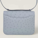 10001封面康康鸵鸟皮冰川蓝