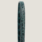 10001封面美洲鳄猪鼻子修