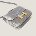 10001封面康康原色蜥蜴皮