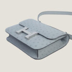 10001封面康康鸵鸟皮冰川蓝