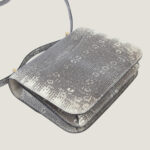 10001封面康康原色蜥蜴皮