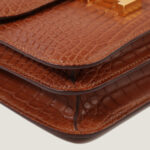 10001封面康康鳄鱼皮金棕