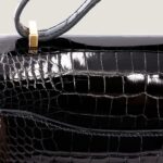 10001封面康康美洲鳄黑色