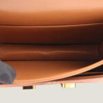 10001封面康康鳄鱼皮金棕