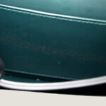 10001封面美洲鳄猪鼻子修