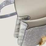 10001封面康康原色蜥蜴皮