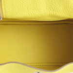 10001封面琳迪mini柠檬黄